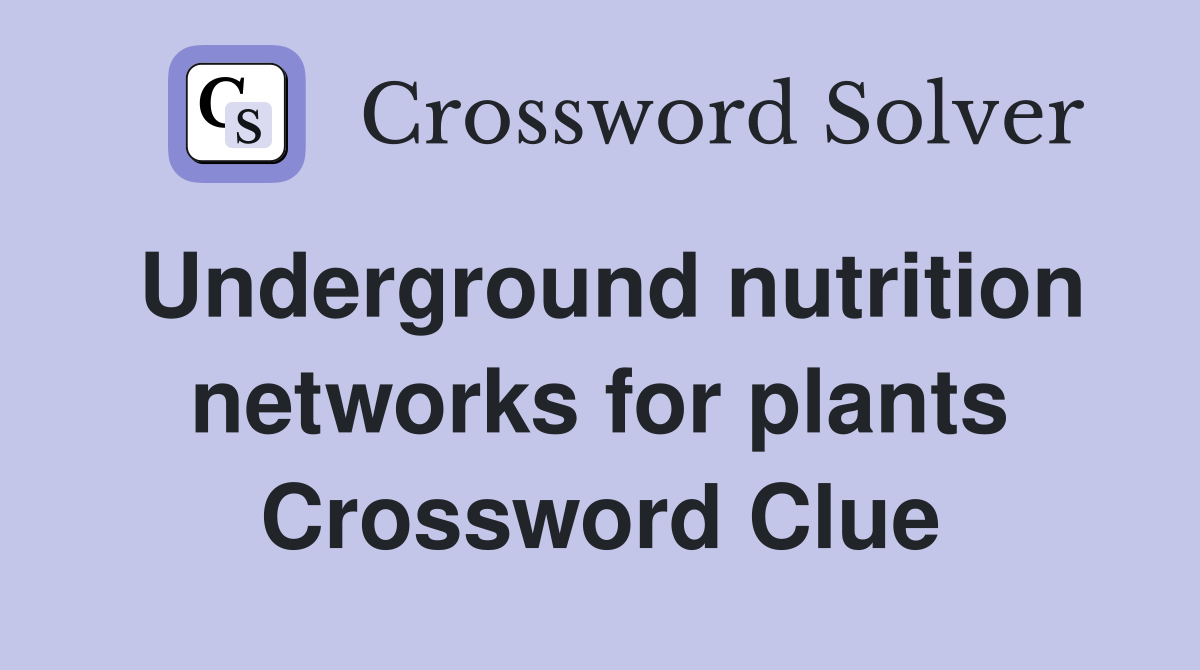 Underground nutrition networks for plants Crossword Clue
