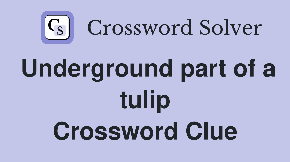 Underground part of a tulip Crossword Clue