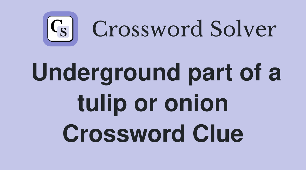 Underground part of a tulip or onion Crossword Clue