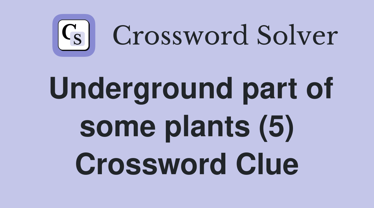 Underground part of some plants (5) Crossword Clue