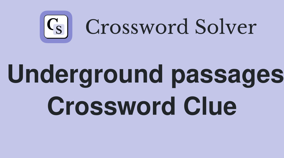Underground passages Crossword Clue