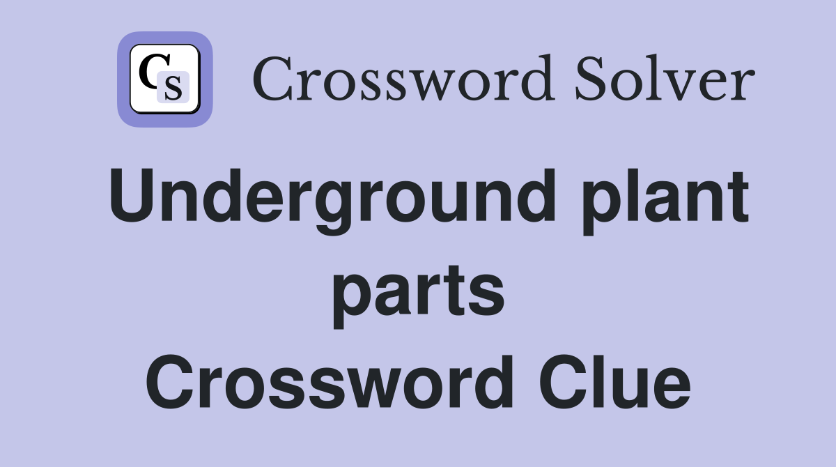 Underground plant parts Crossword Clue