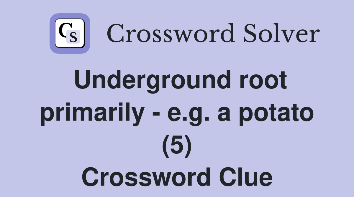 Underground root primarily - e.g. a potato (5) Crossword Clue