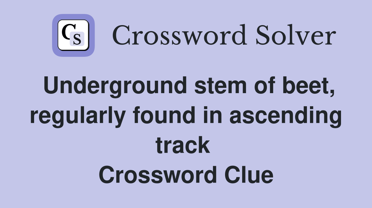 Underground stem of beet, regularly found in ascending track  Crossword Clue