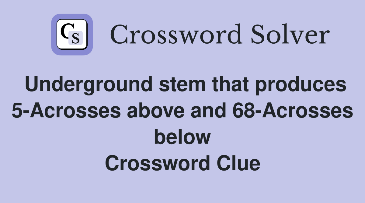 Underground stem that produces 5-Acrosses above and 68-Acrosses below Crossword Clue