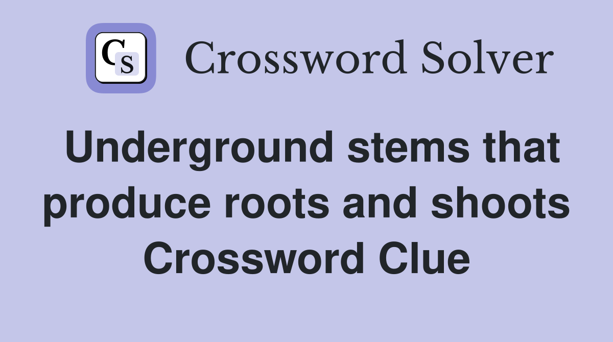 Underground stems that produce roots and shoots Crossword Clue