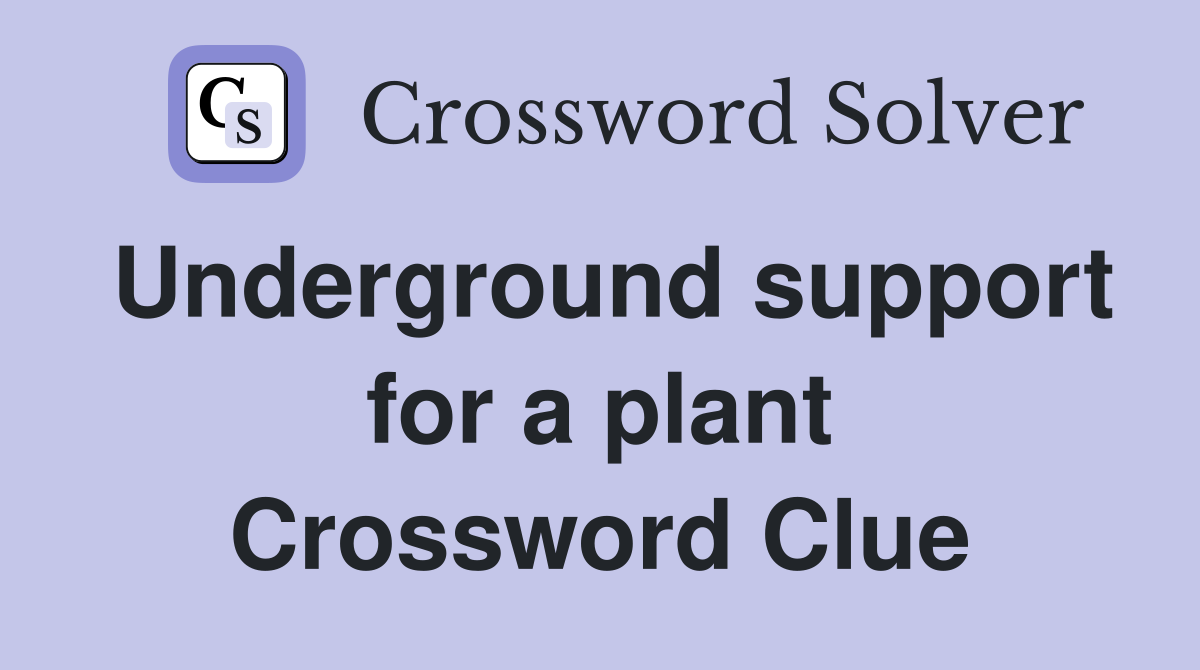 Underground support for a plant Crossword Clue