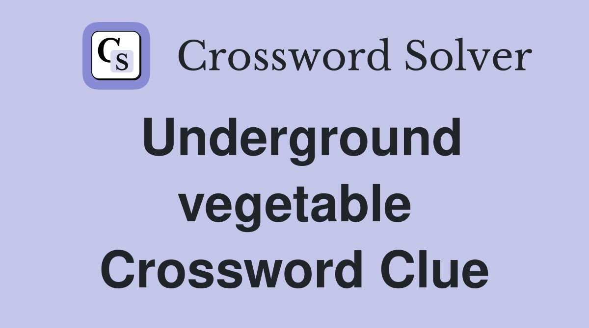 Underground vegetable Crossword Clue