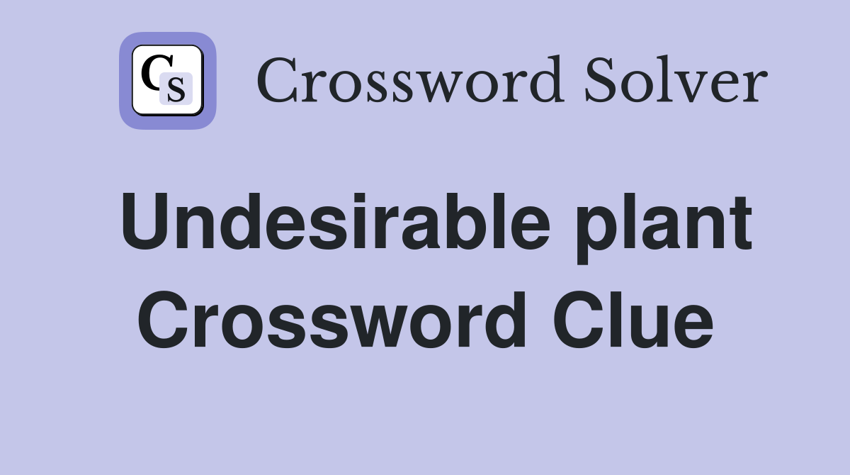 Undesirable plant Crossword Clue