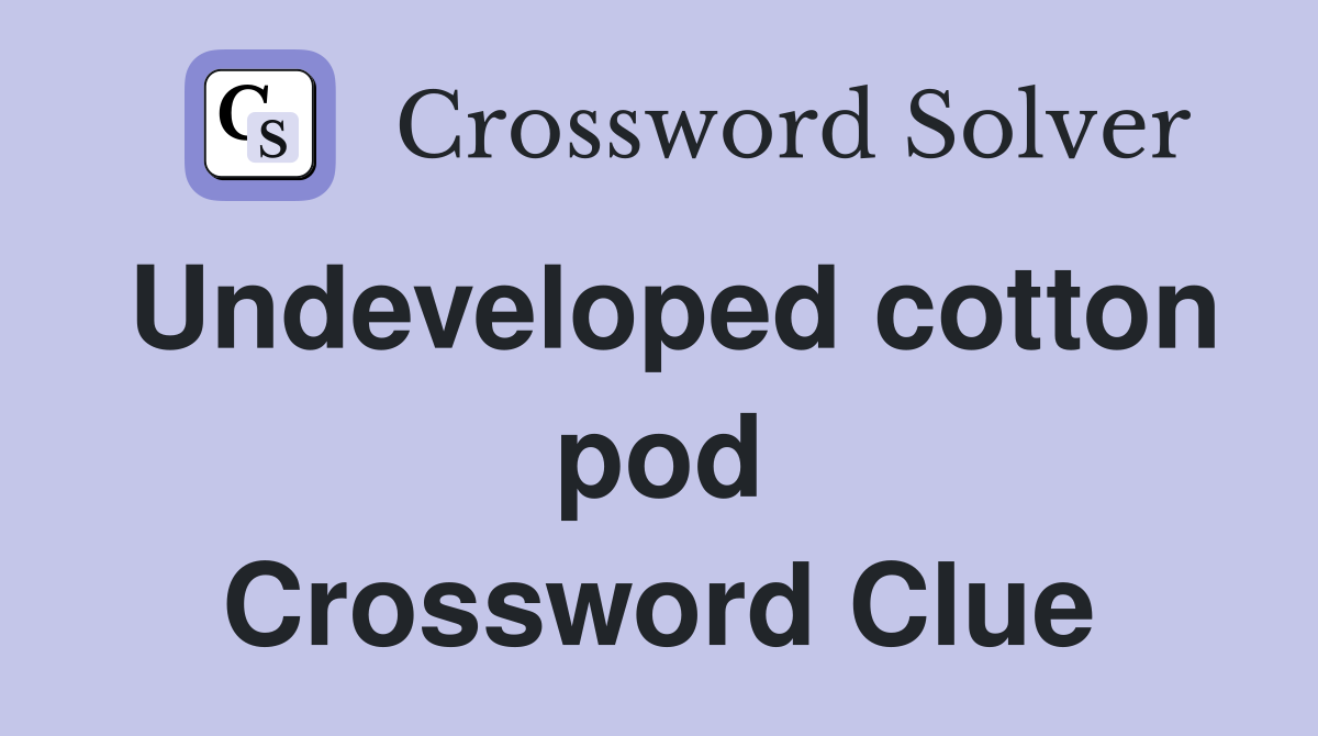 Undeveloped cotton pod Crossword Clue