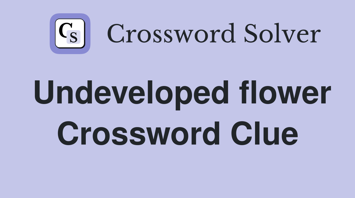 Undeveloped flower Crossword Clue
