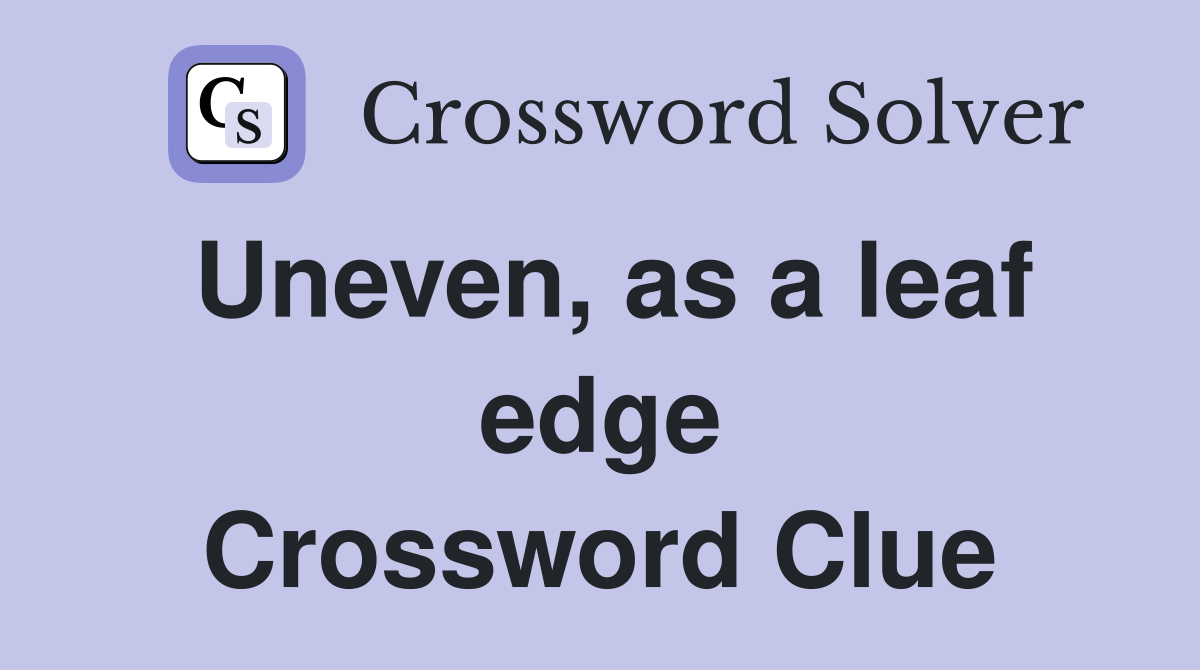 Uneven, as a leaf edge Crossword Clue