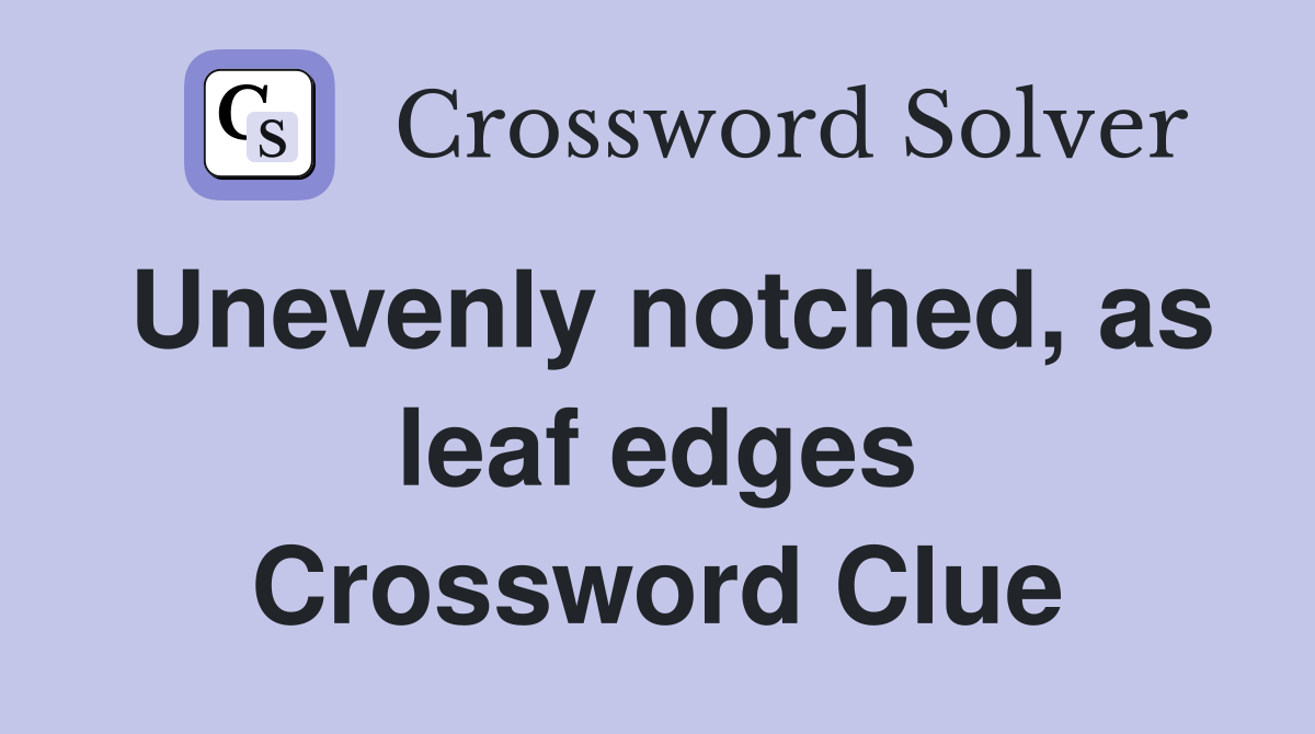 Unevenly notched, as leaf edges Crossword Clue