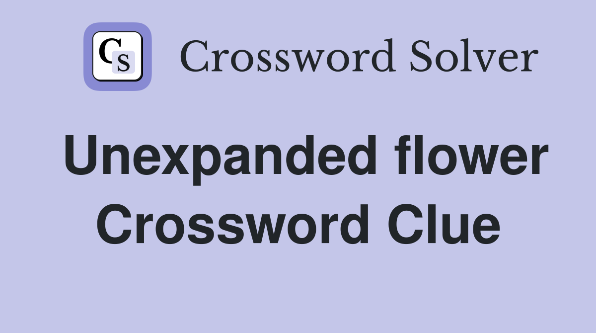 Unexpanded flower Crossword Clue
