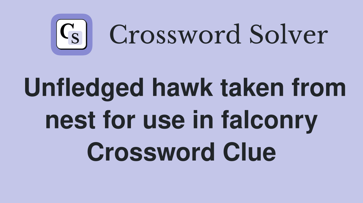 Unfledged hawk taken from nest for use in falconry Crossword Clue