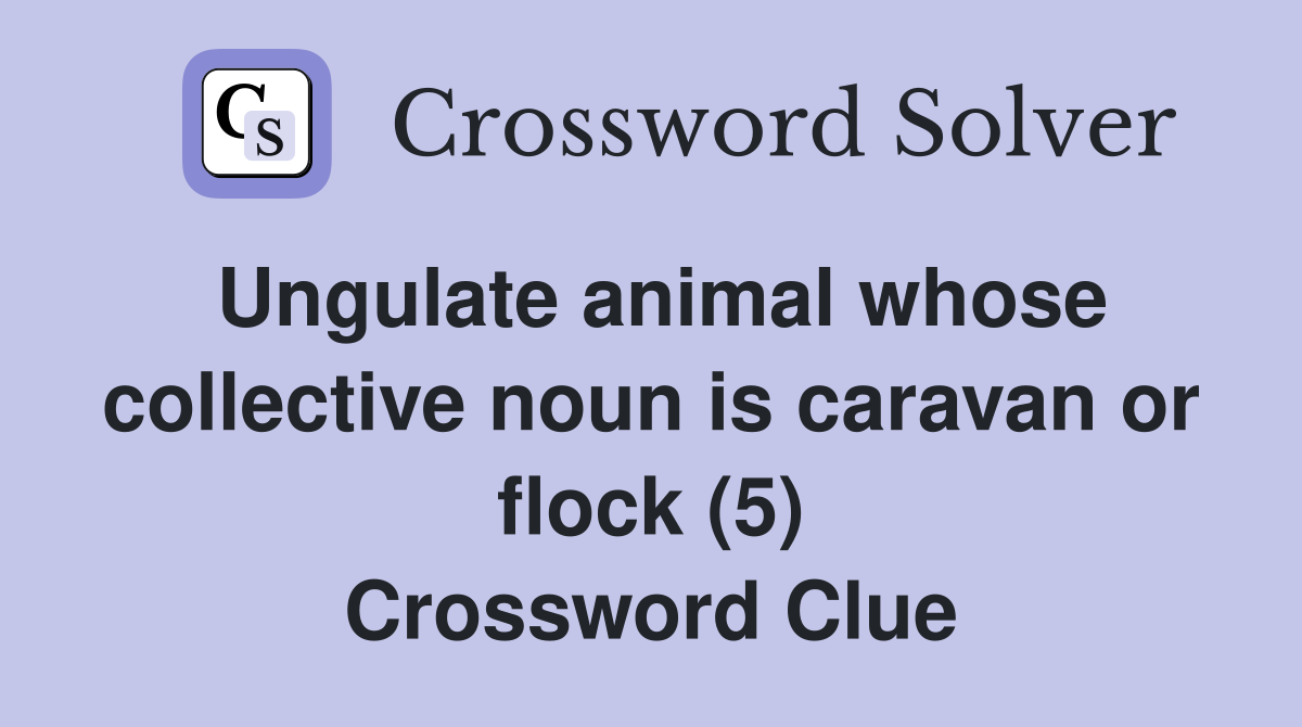 Ungulate animal whose collective noun is caravan or flock (5) Crossword Clue