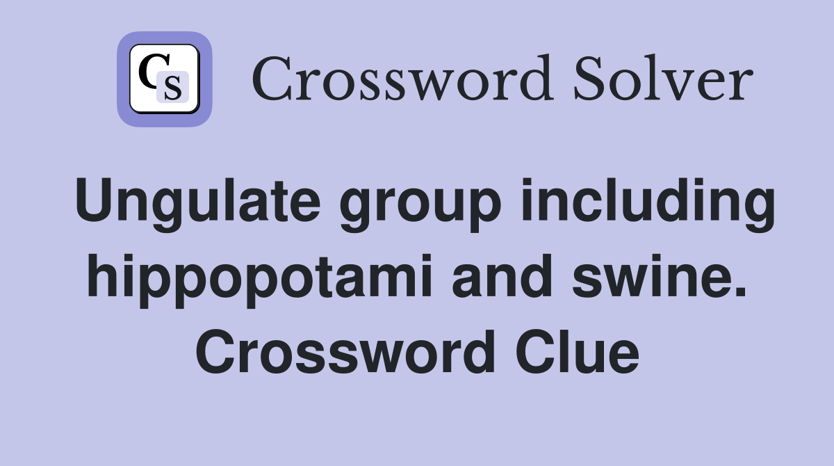Ungulate group including hippopotami and swine. Crossword Clue