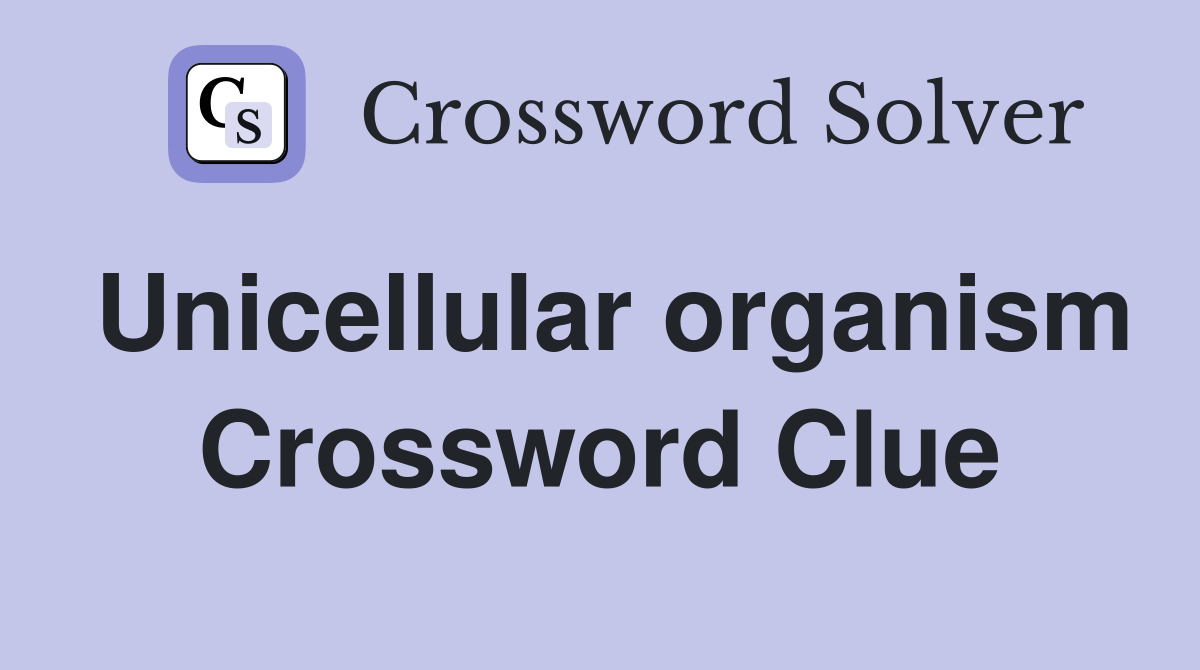 Unicellular organism Crossword Clue