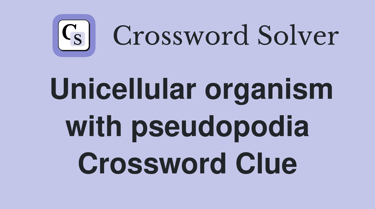 Unicellular organism with pseudopodia Crossword Clue