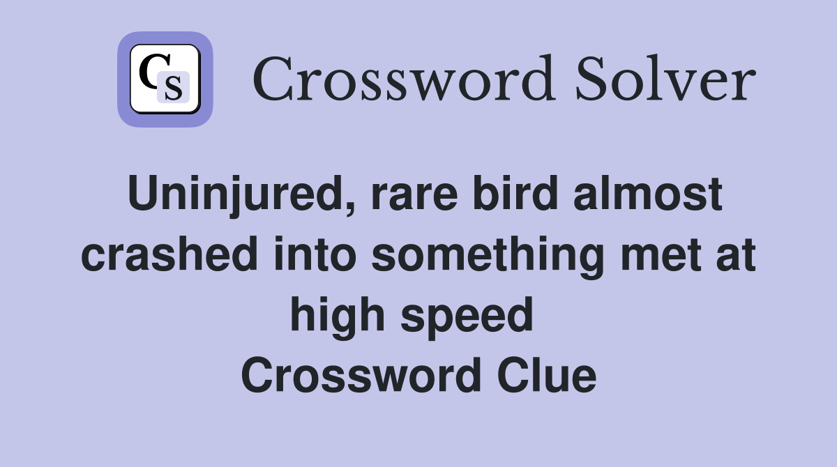 Uninjured, rare bird almost crashed into something met at high speed  Crossword Clue