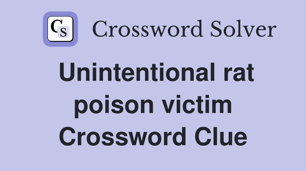 Unintentional rat poison victim Crossword Clue