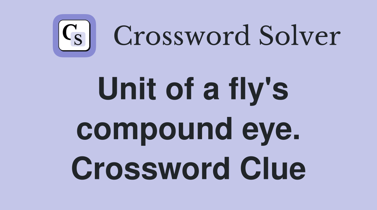 Unit of a fly's compound eye. Crossword Clue