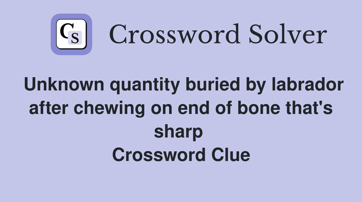 Unknown quantity buried by labrador after chewing on end of bone that's sharp  Crossword Clue