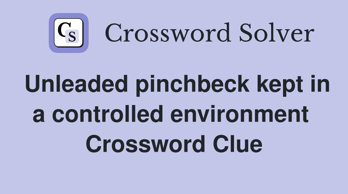 Unleaded pinchbeck kept in a controlled environment  Crossword Clue