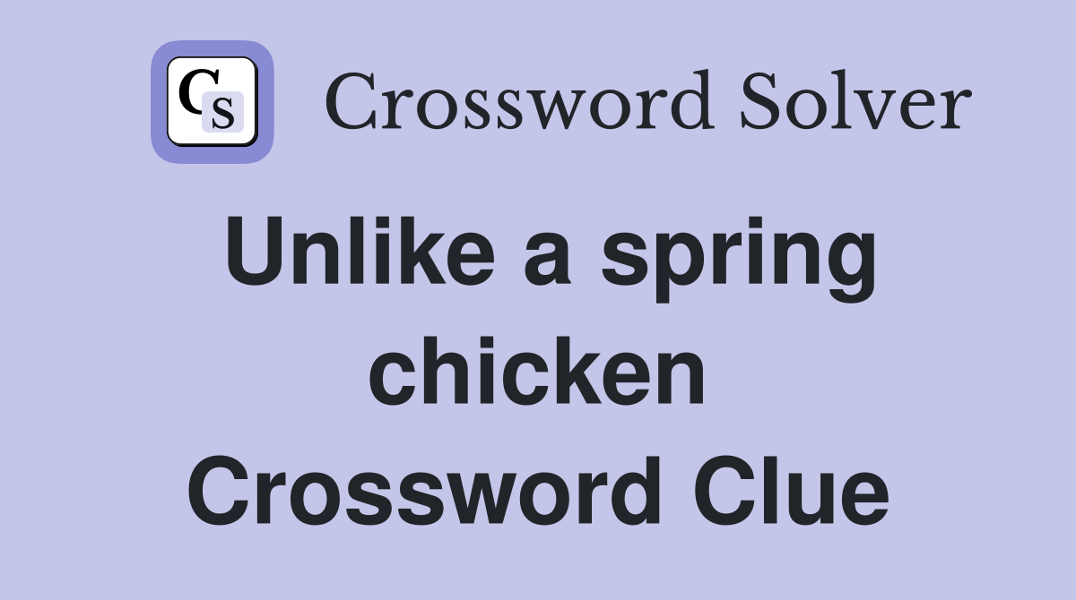 Unlike a spring chicken Crossword Clue