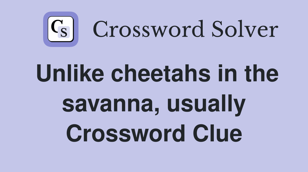 Unlike cheetahs in the savanna, usually Crossword Clue