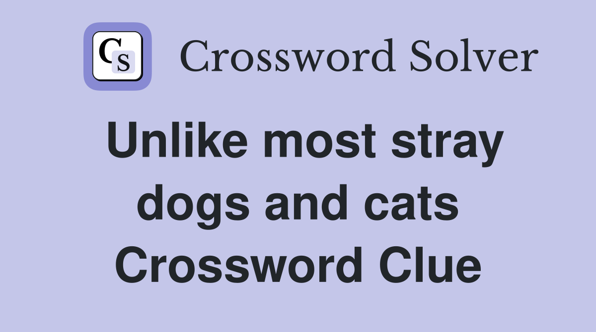 Unlike most stray dogs and cats Crossword Clue
