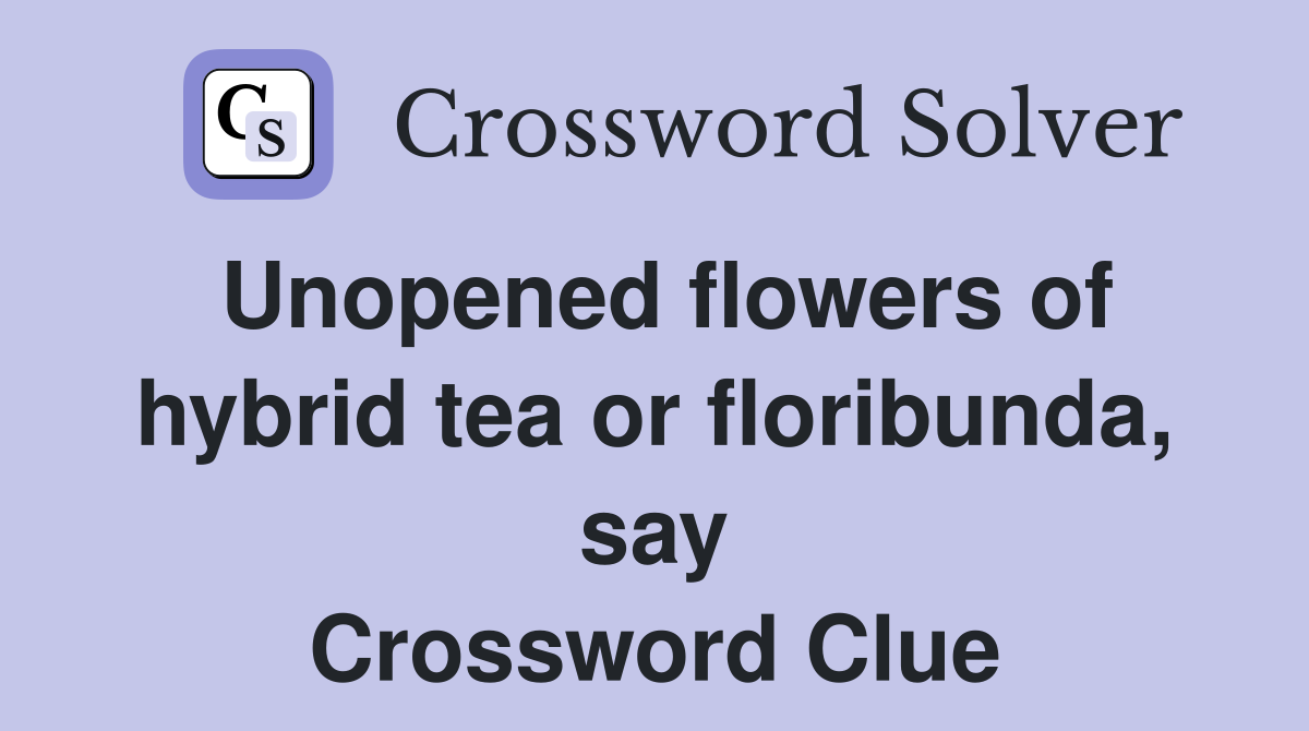Unopened flowers of hybrid tea or floribunda, say Crossword Clue