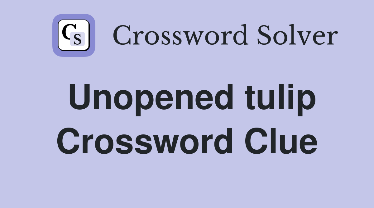 Unopened tulip Crossword Clue