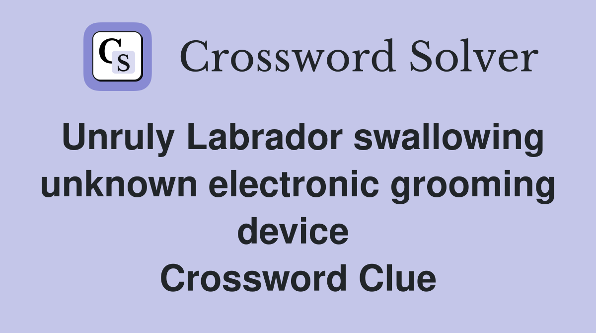 Unruly Labrador swallowing unknown electronic grooming device  Crossword Clue