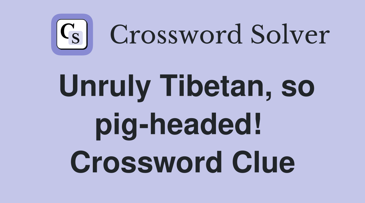 Unruly Tibetan, so pig-headed!  Crossword Clue