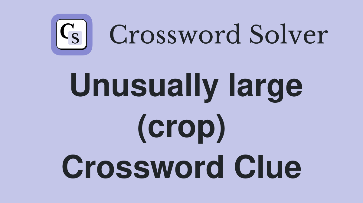 Unusually large (crop) Crossword Clue