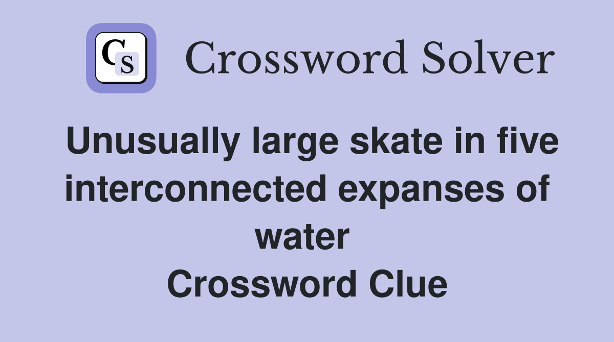 Unusually large skate in five interconnected expanses of water  Crossword Clue