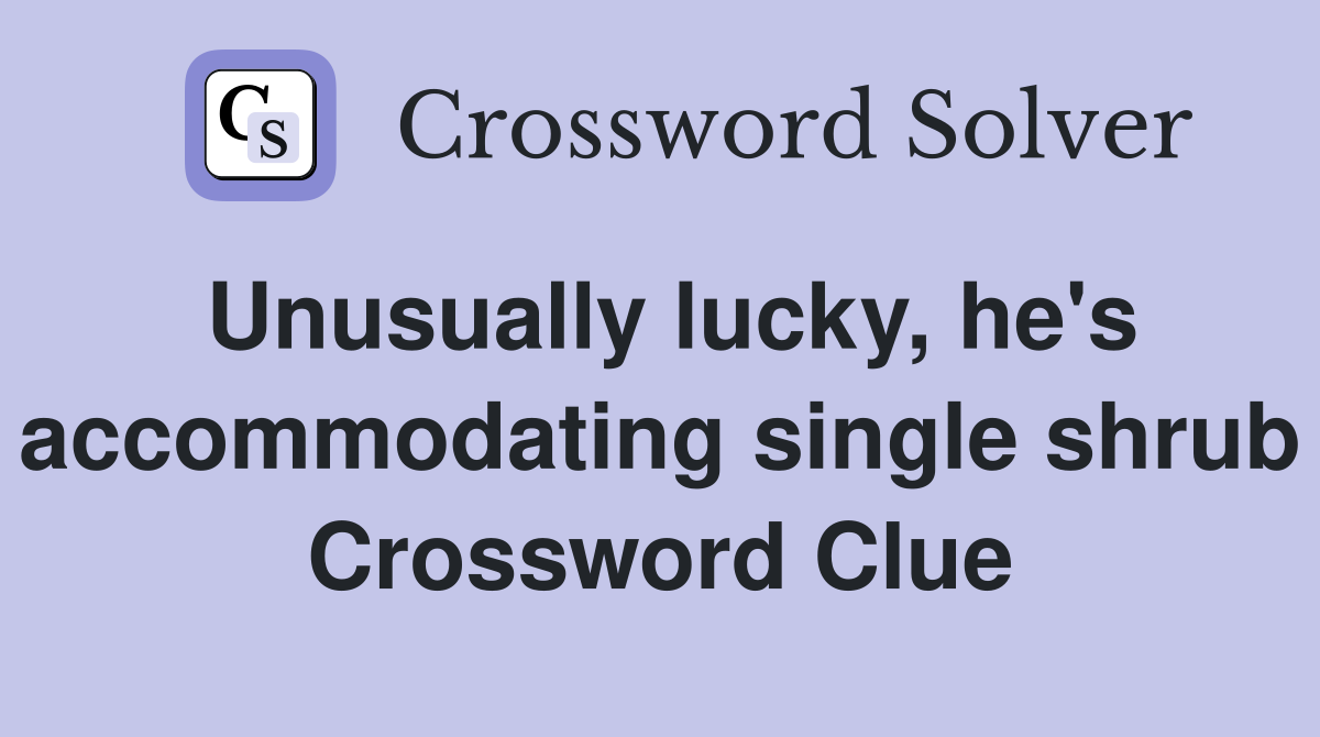 Unusually lucky, he's accommodating single shrub Crossword Clue