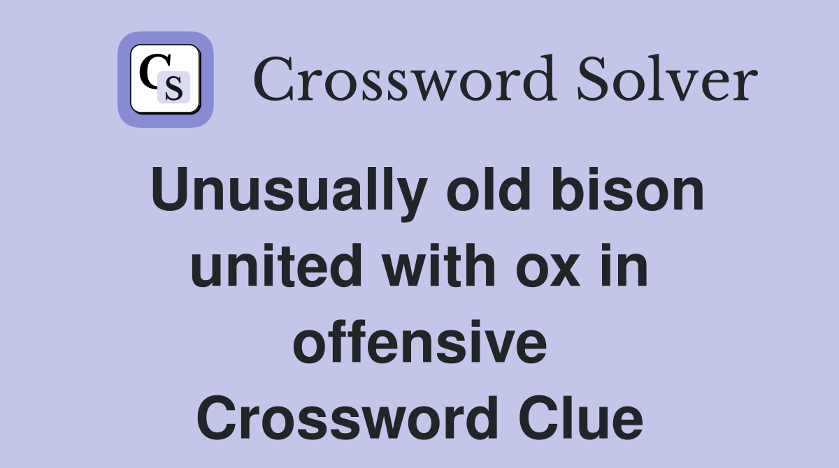 Unusually old bison united with ox in offensive Crossword Clue