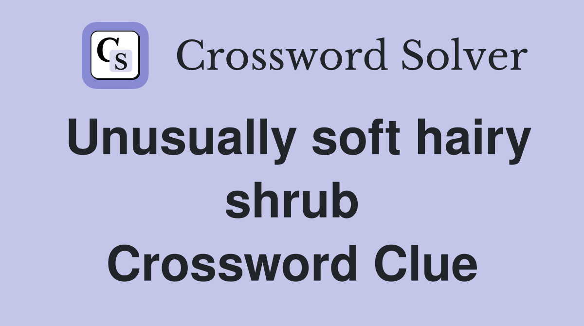 Unusually soft hairy shrub Crossword Clue