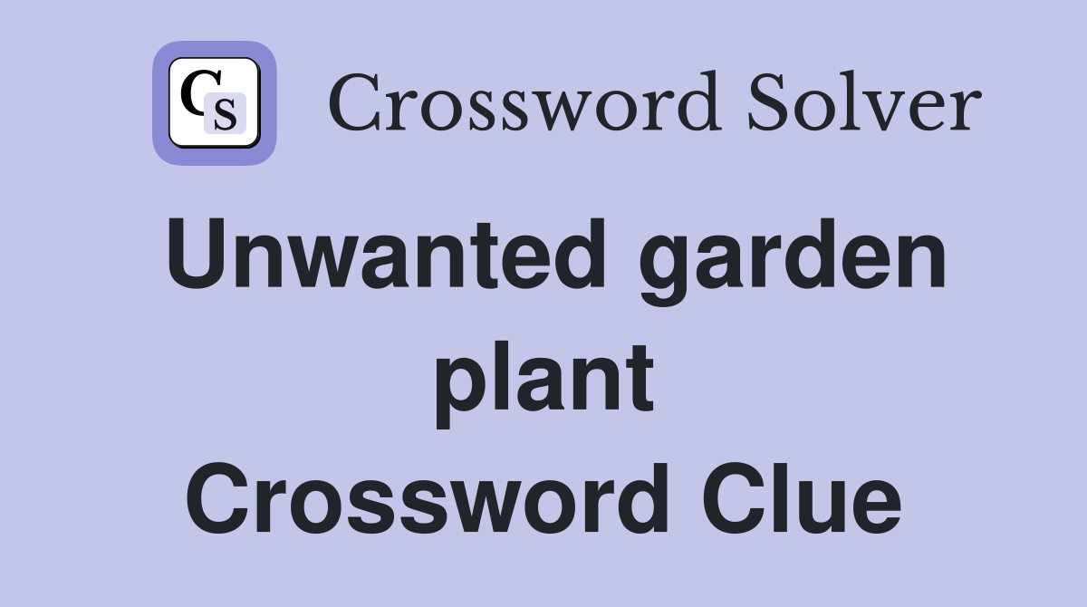 Unwanted garden plant Crossword Clue