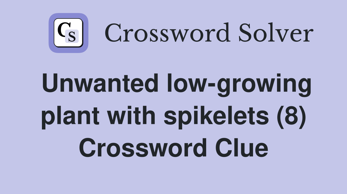 Unwanted low-growing plant with spikelets (8) Crossword Clue