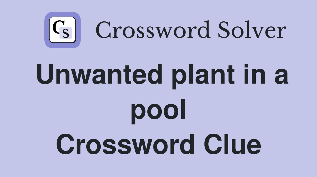 Unwanted plant in a pool Crossword Clue