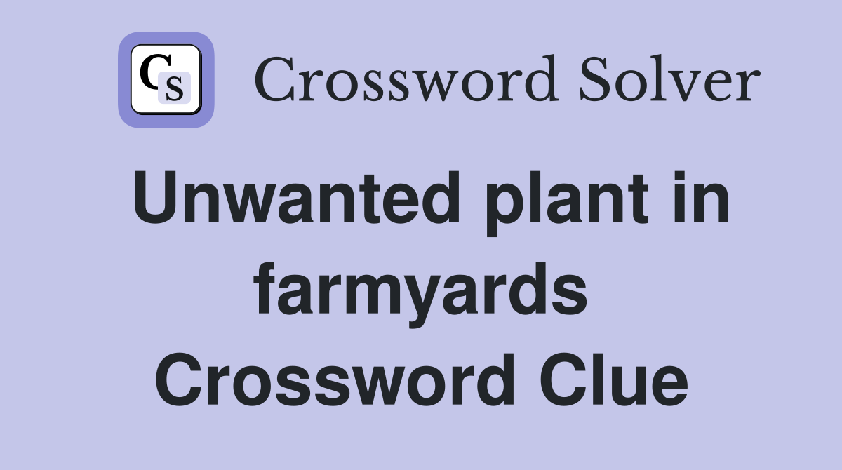 Unwanted plant in farmyards Crossword Clue