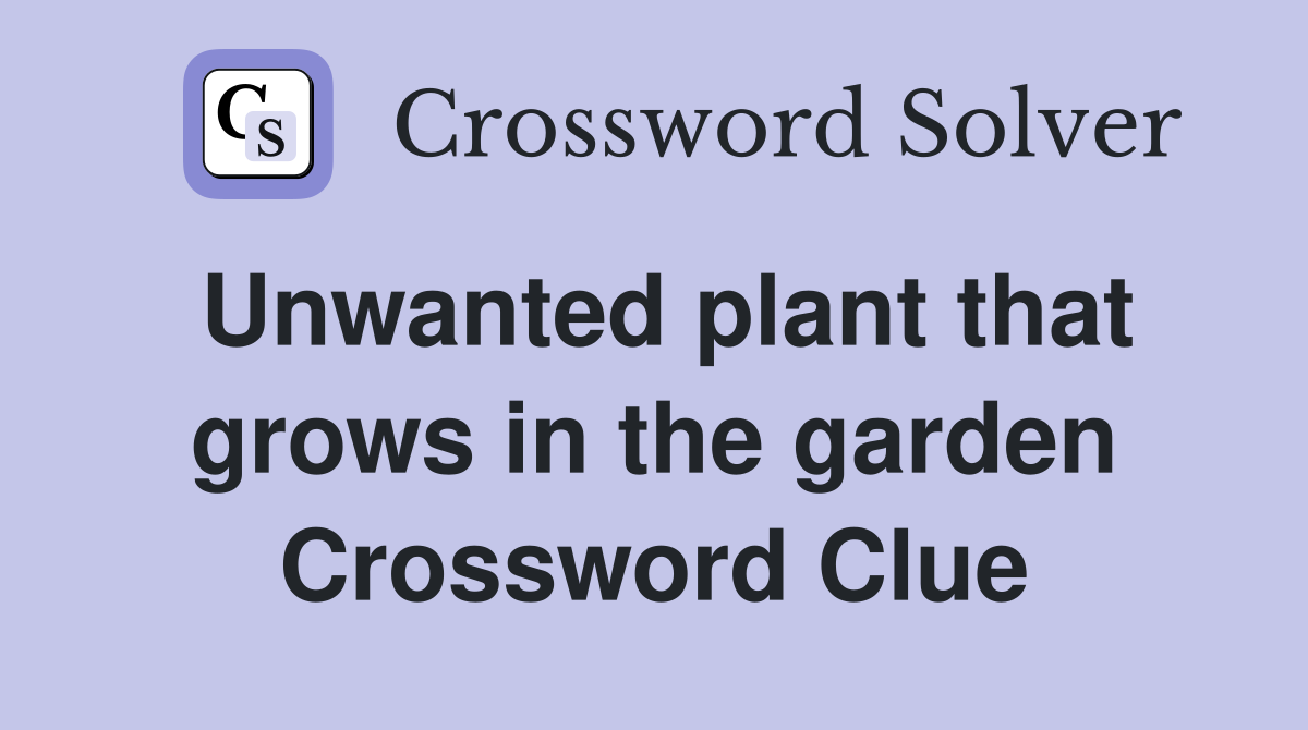 Unwanted plant that grows in the garden Crossword Clue