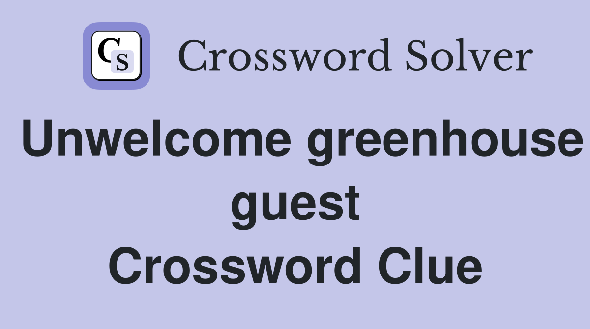 Unwelcome greenhouse guest Crossword Clue