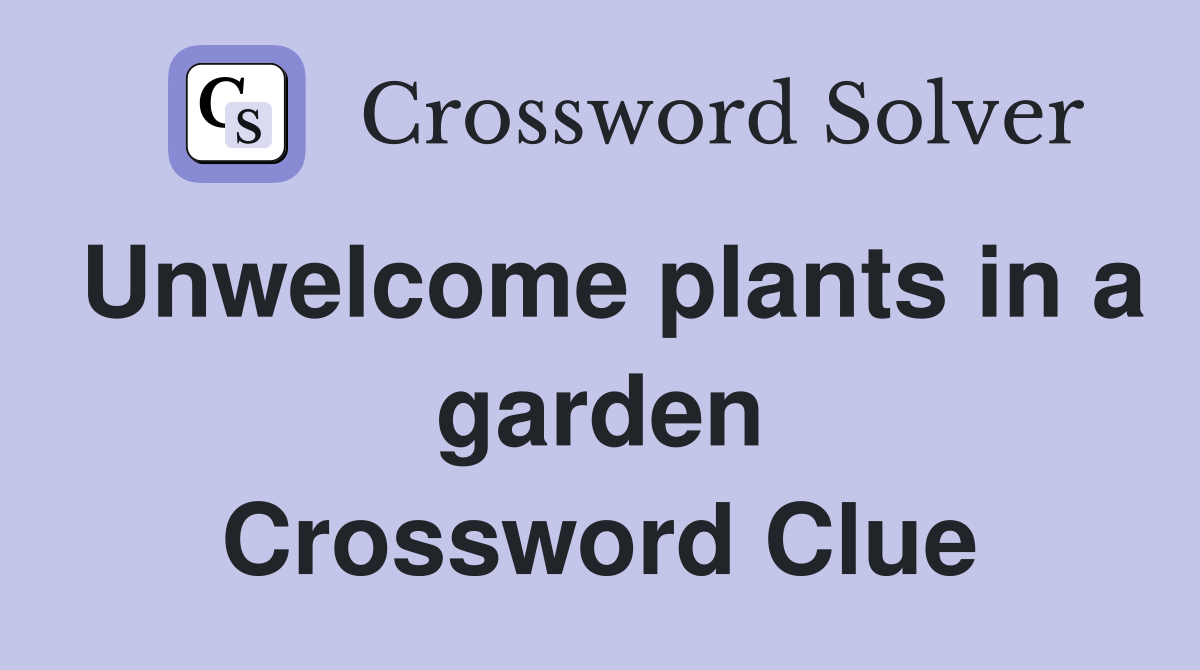 Unwelcome plants in a garden Crossword Clue
