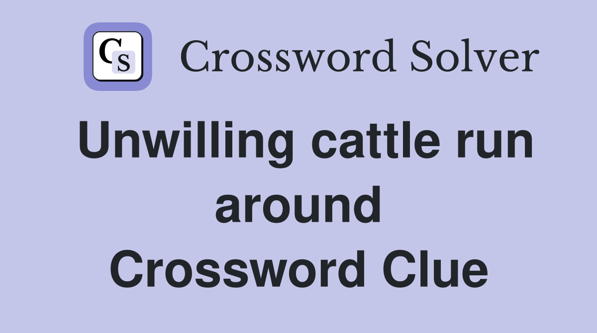 Unwilling cattle run around Crossword Clue