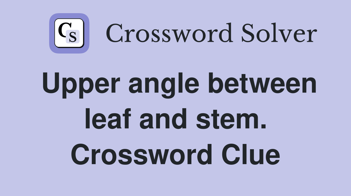 Upper angle between leaf and stem. Crossword Clue