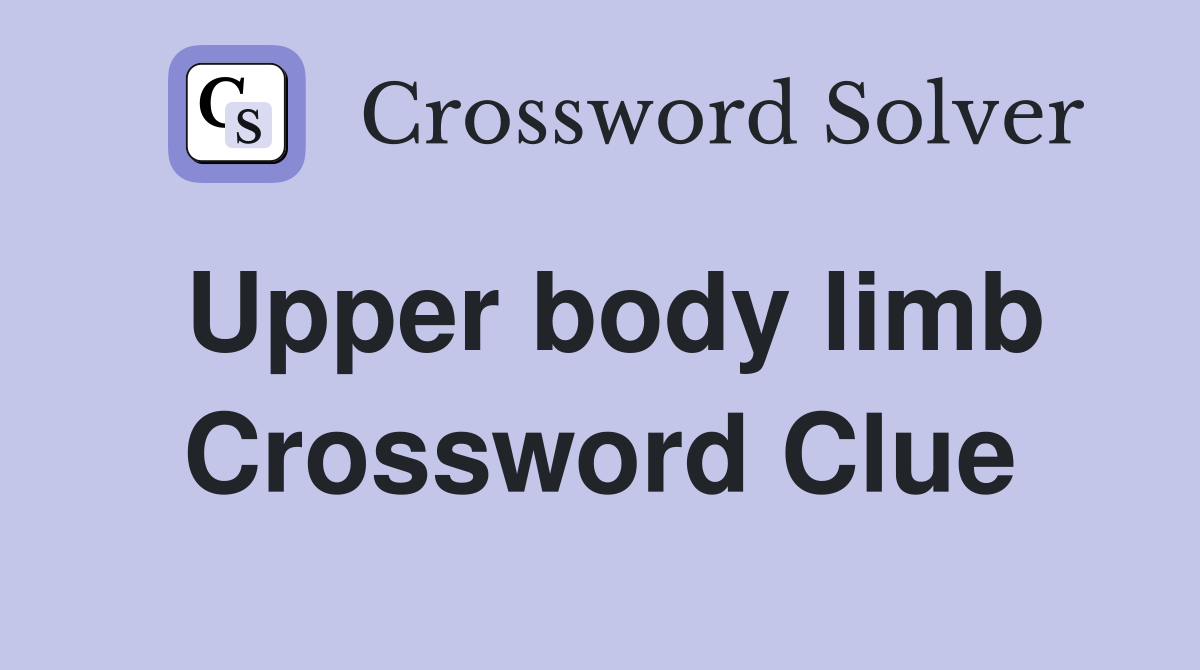 Upper body limb Crossword Clue